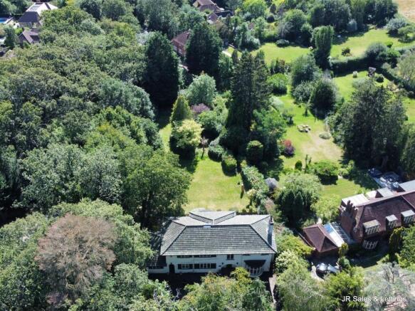 dji_fly_20240813_150416_523_1723557863655_photo_op