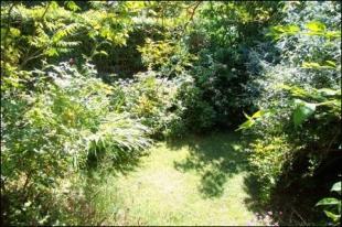 Side Garden