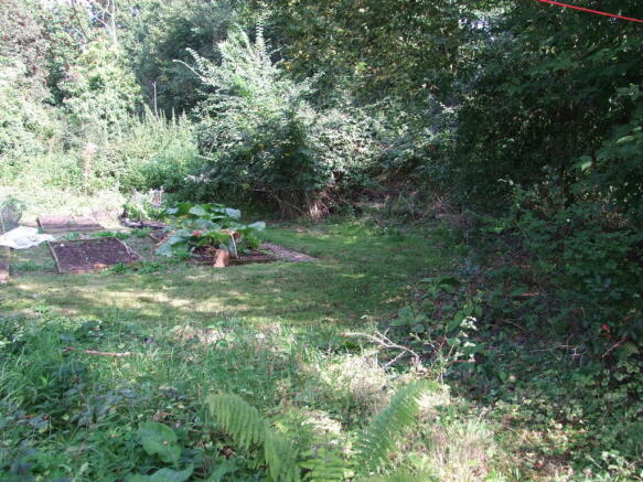 another garden shot