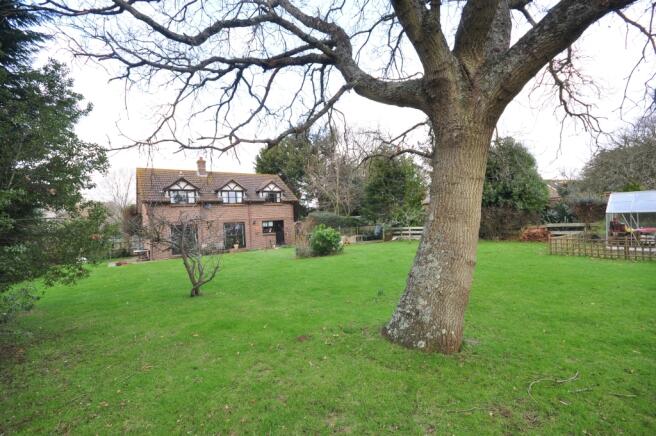 Rear Elevation1