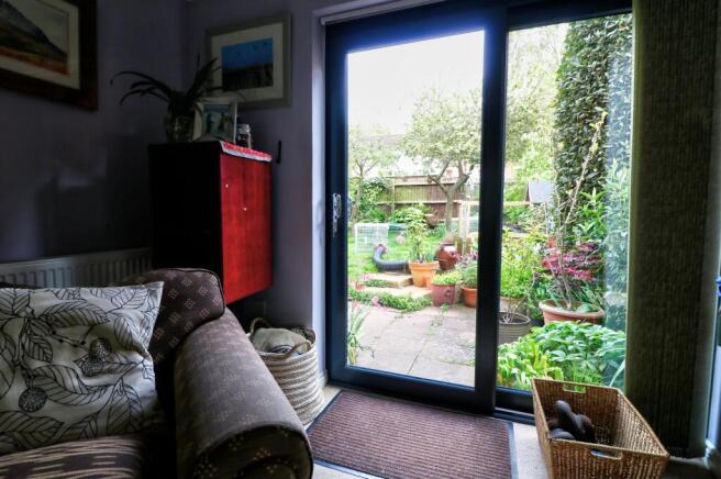 Back garden