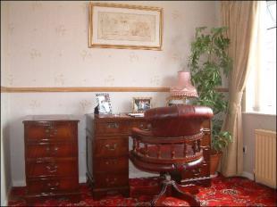 Study Area