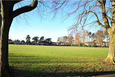 Page Park
