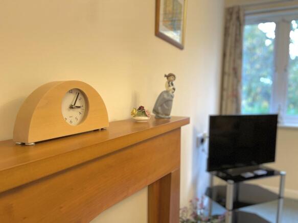 Photo 12