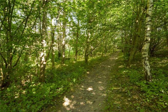 Woodland