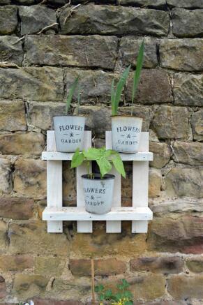 Flower pots on wall.JPG