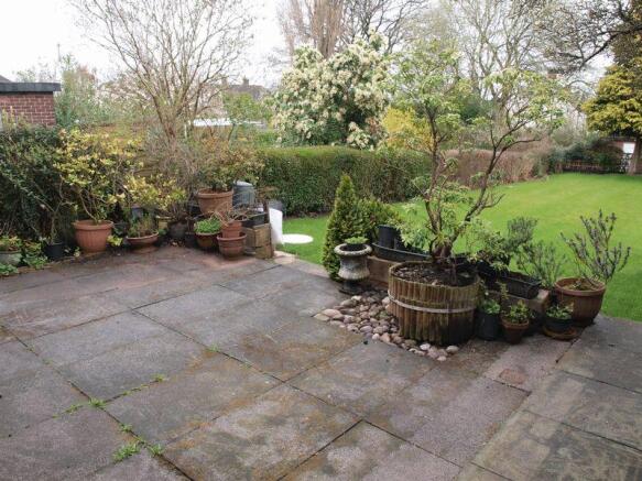 Patio Area