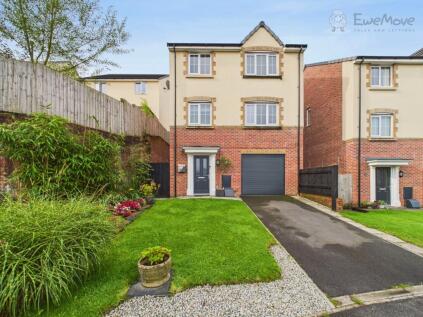 Ash Drive, South Molton, Devon, EX36