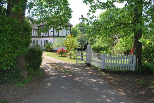 Photo 10