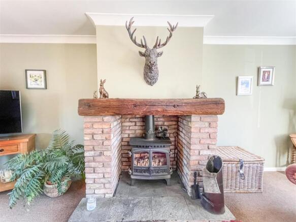 Feature Fire