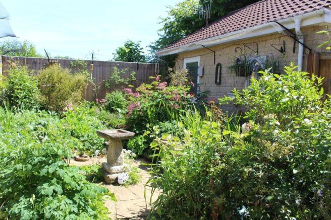 Garden 3