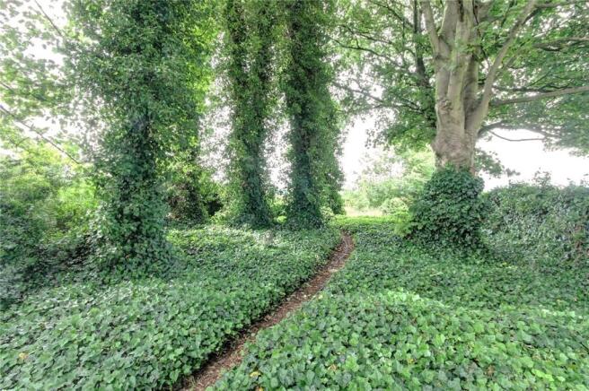 Coppice