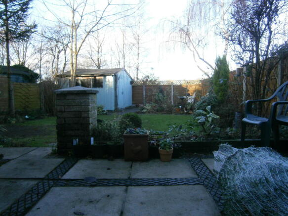 Photo 19