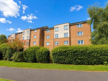 Cypress Lane, Hamilton
