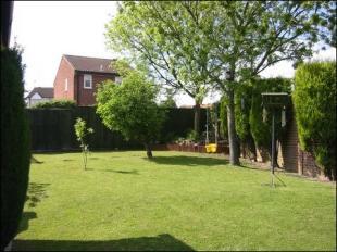 Side Garden