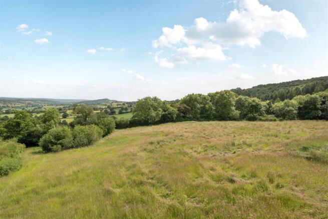 Pasture