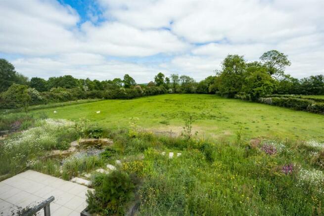 Garden and view
