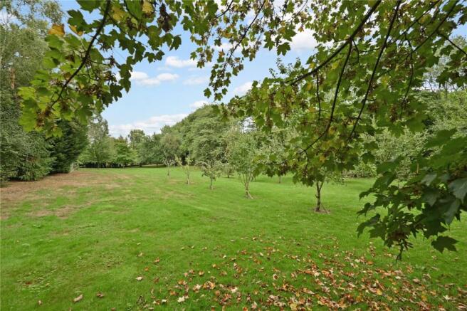 Orchard