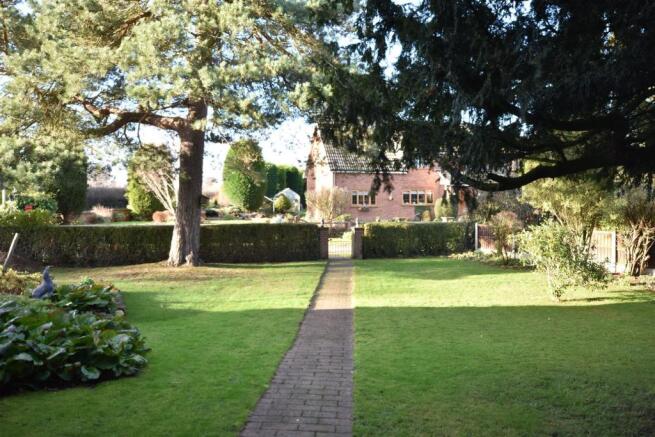 garden view.JPG