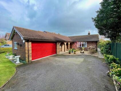 Holly Walks, Wrexham