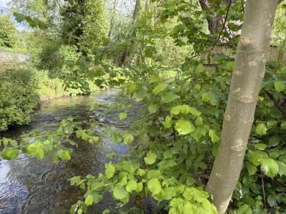 River view