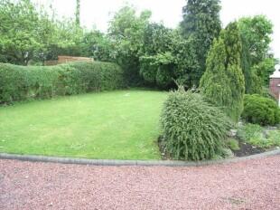 Front Garden 2