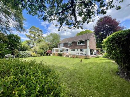 The Garden Of Dreams! Bourne End