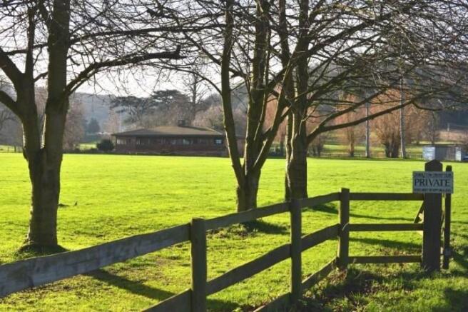 cricket field