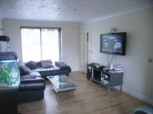Picture No.04