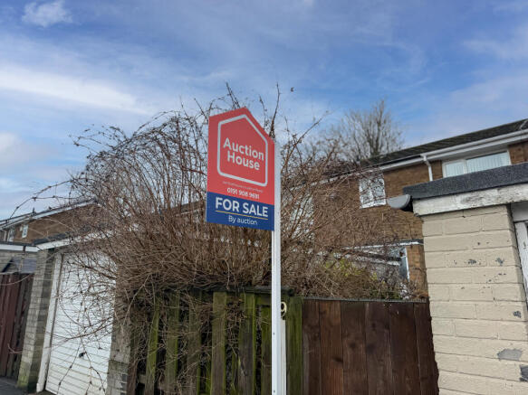 IMG 1598 T202601300820.jpg