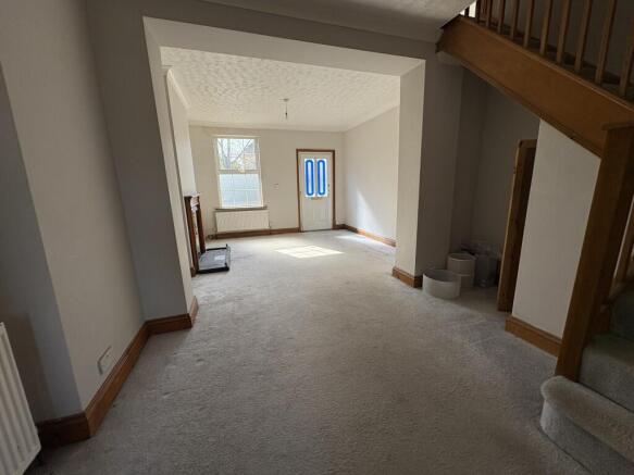 IMG 0635  Medium  T202604081721.jpg