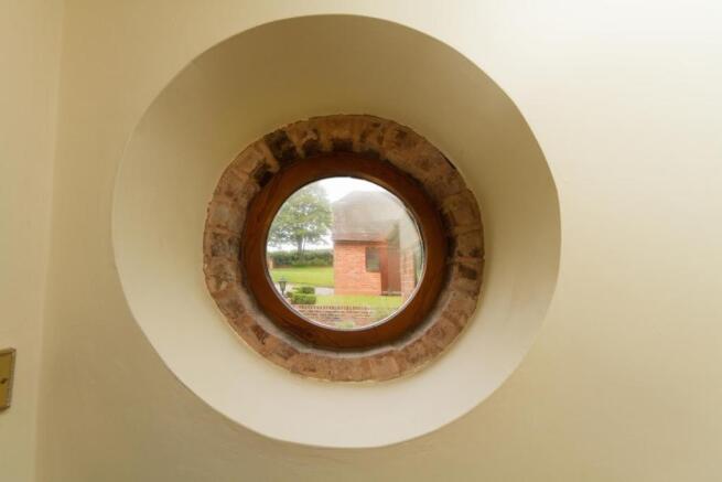 IMG_1577.jpg