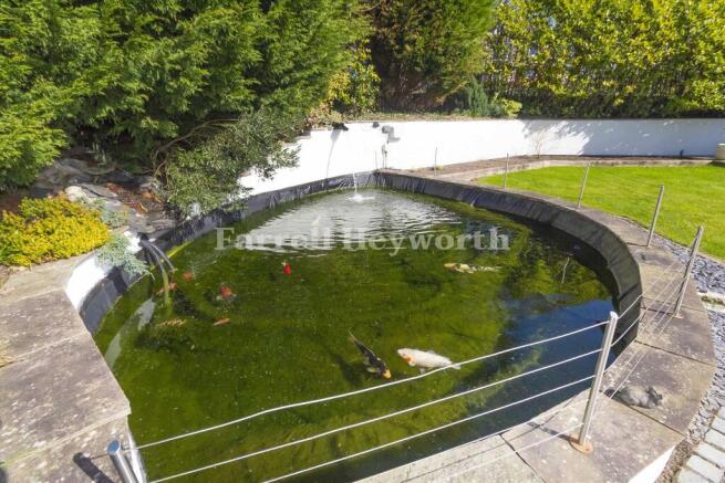 Garden Pond