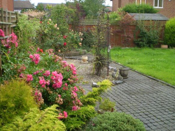 Photo 10
