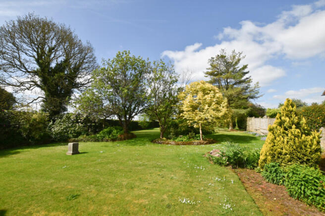 Garden 1