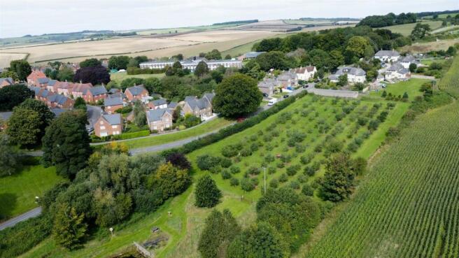 Community Orchard (directly opposite)