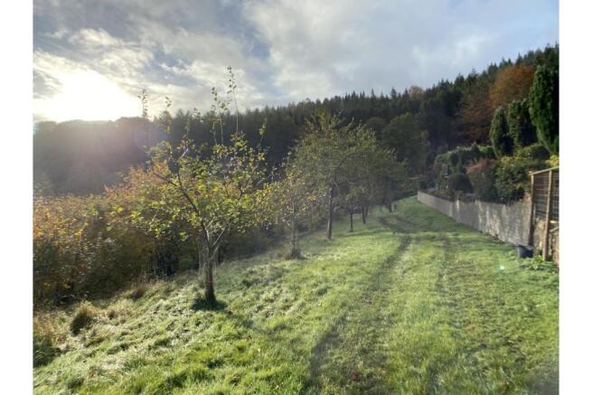 Orchard