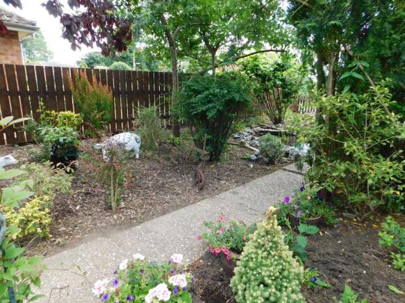 Garden 8