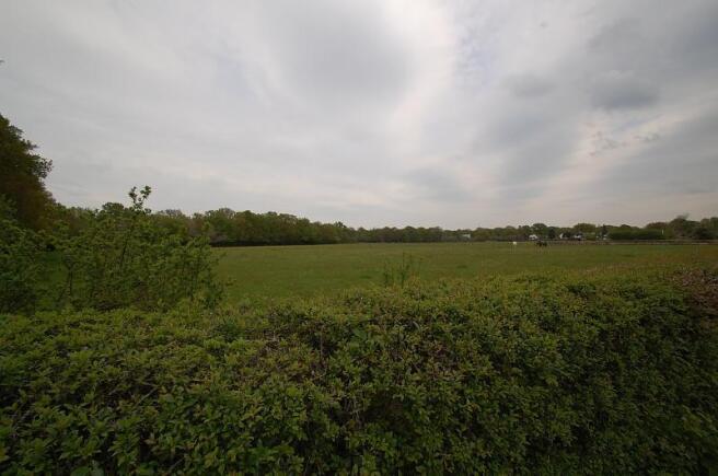 field