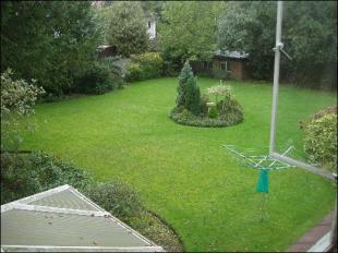 Shared Garden