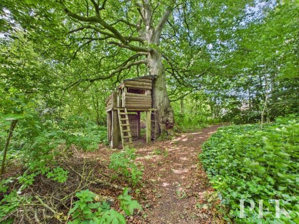 Treehouse in Woodland