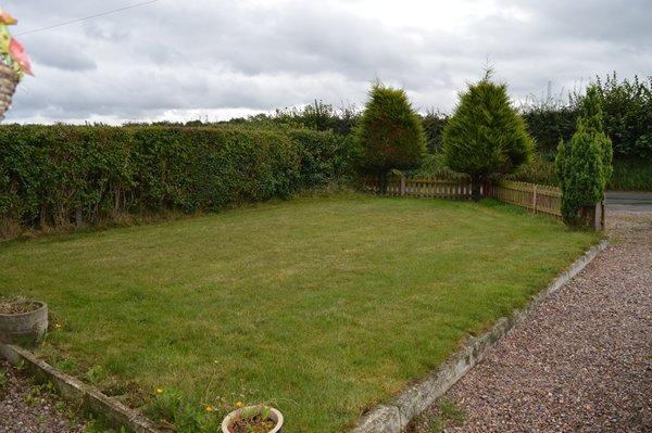 front garden