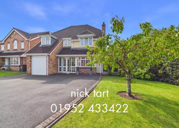 nicktart10822039