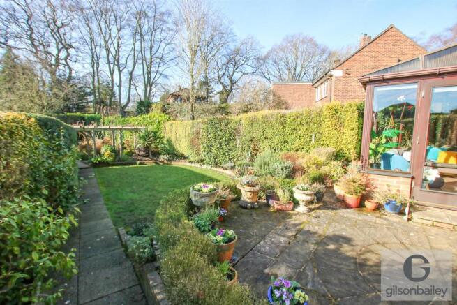IMG_0518-2.jpg