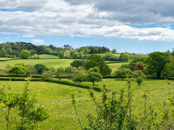 Views Across Adjacent Fields.png