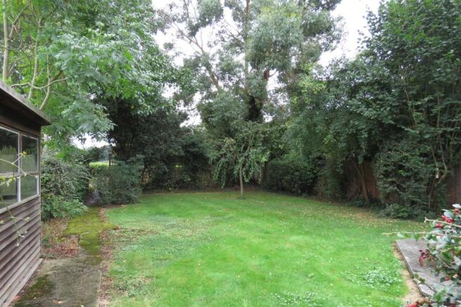 GARDEN.JPG