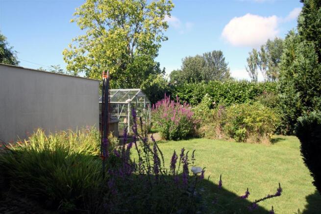 Garden 3.JPG