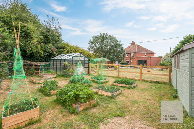 Vegetable Plot