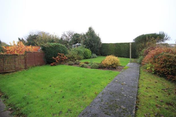 Garden Image 2