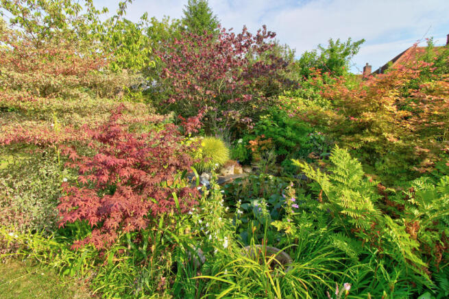 Garden 3